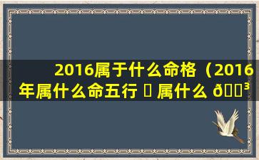 2016属于什么命格（2016年属什么命五行 ☘ 属什么 🌳 ）